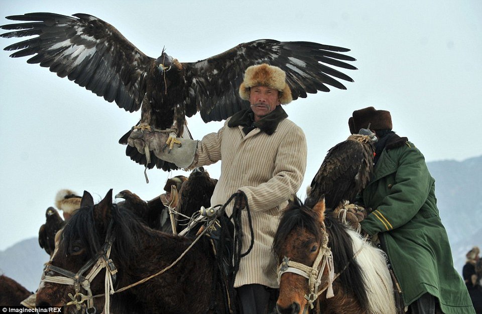 Το κυνήγι με τα γεράκια: Απίστευτα καρέ όταν ο άνθρωπος γίνεται «ένα» με το ζώο [εικόνες] | iefimerida.gr 2