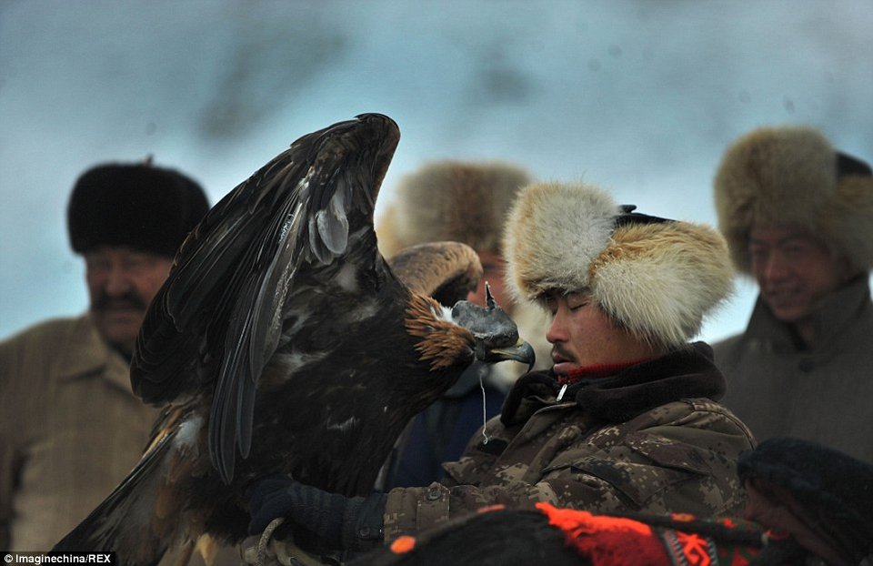 Το κυνήγι με τα γεράκια: Απίστευτα καρέ όταν ο άνθρωπος γίνεται «ένα» με το ζώο [εικόνες] | iefimerida.gr 3