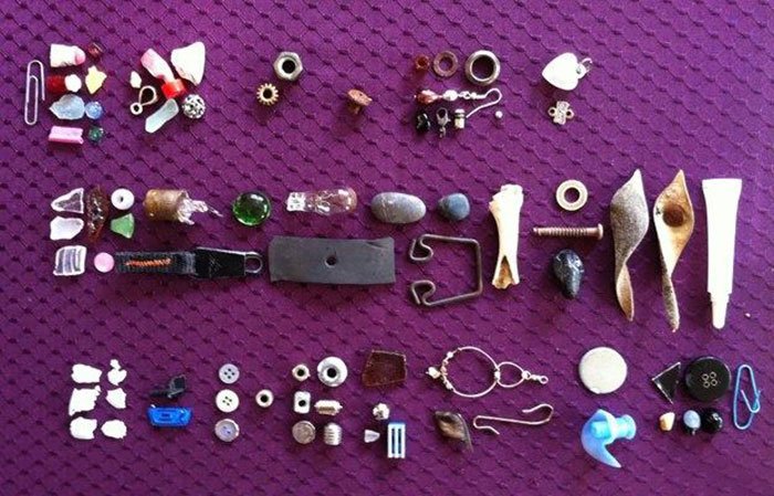 Τάιζε κοράκια στον κήπο της για χρόνια: Ποτέ δεν φανταζόταν τη συνέχεια [εικόνες] | iefimerida.gr 2