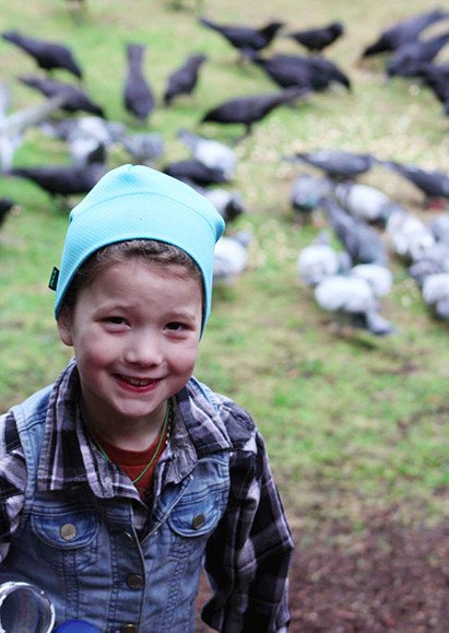 Τάιζε κοράκια στον κήπο της για χρόνια: Ποτέ δεν φανταζόταν τη συνέχεια [εικόνες] | iefimerida.gr 0