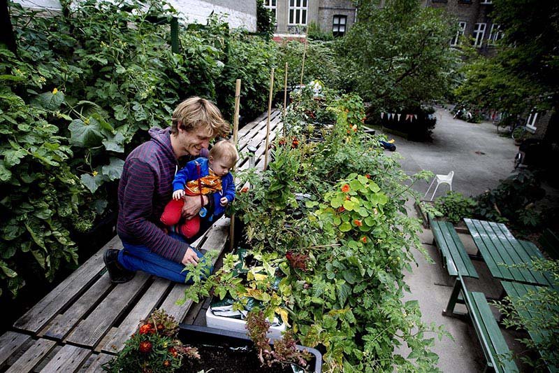 Η πιο πράσινη πόλη στον κόσμο είναι η Κοπεγχάγη: Εκπληκτικά αστικά τοπία σε αρμονία με τη φύση [εικόνες] | iefimerida.gr 2
