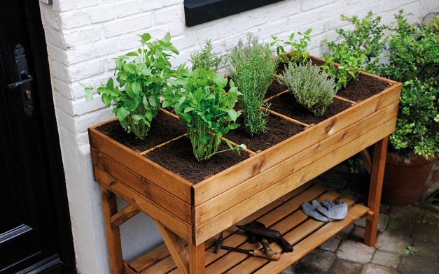 Κήπος στη βεράντα -Μια όαση ομορφιάς, τώρα την άνοιξη [εικόνες] | iefimerida.gr 4