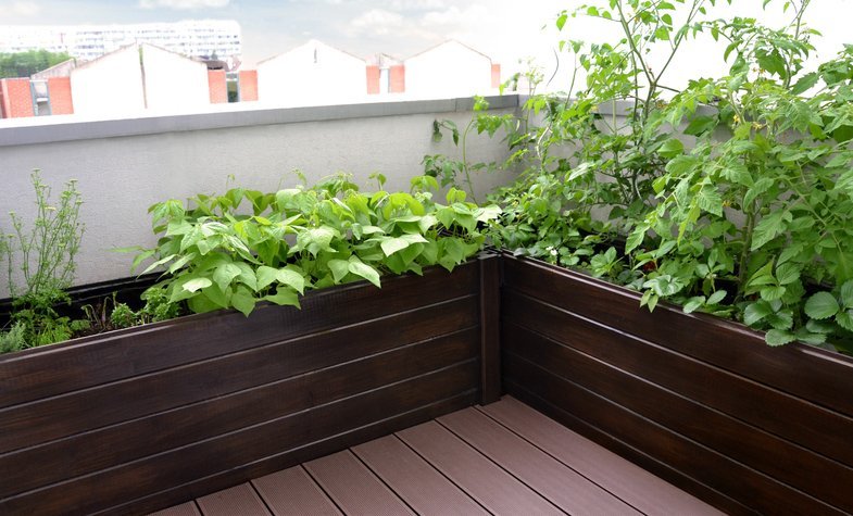 Κήπος στη βεράντα -Μια όαση ομορφιάς, τώρα την άνοιξη [εικόνες] | iefimerida.gr 5