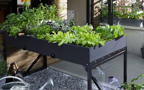 Κήπος στη βεράντα -Μια όαση ομορφιάς, τώρα την άνοιξη [εικόνες] | iefimerida.gr 3