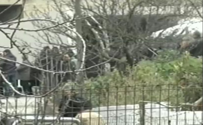 Η κηδεία του Βαγγέλη Γιακουμάκη -Με μπαλωθιές οδηγήθηκε στην τελευταία του κατοικία, λιποθύμησε η μητέρα του [εικόνες & βίντεο] | iefimerida.gr 9