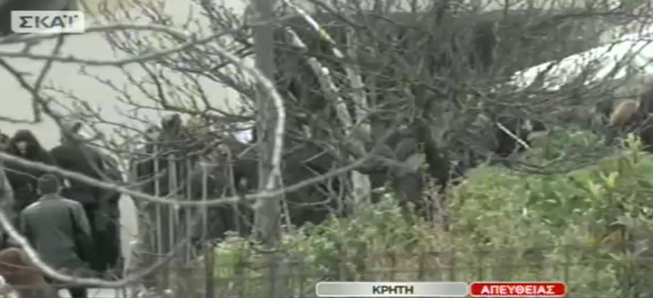 Η κηδεία του Βαγγέλη Γιακουμάκη -Με μπαλωθιές οδηγήθηκε στην τελευταία του κατοικία, λιποθύμησε η μητέρα του [εικόνες & βίντεο] | iefimerida.gr 14