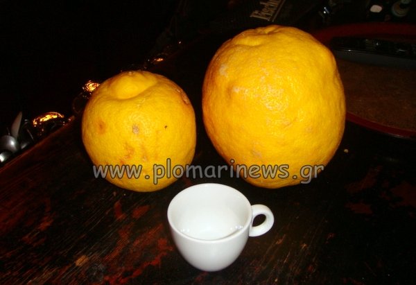 Ενα λεμόνι-γίγας που ζυγίζει 1,2 κιλά [εικόνες] | iefimerida.gr 1