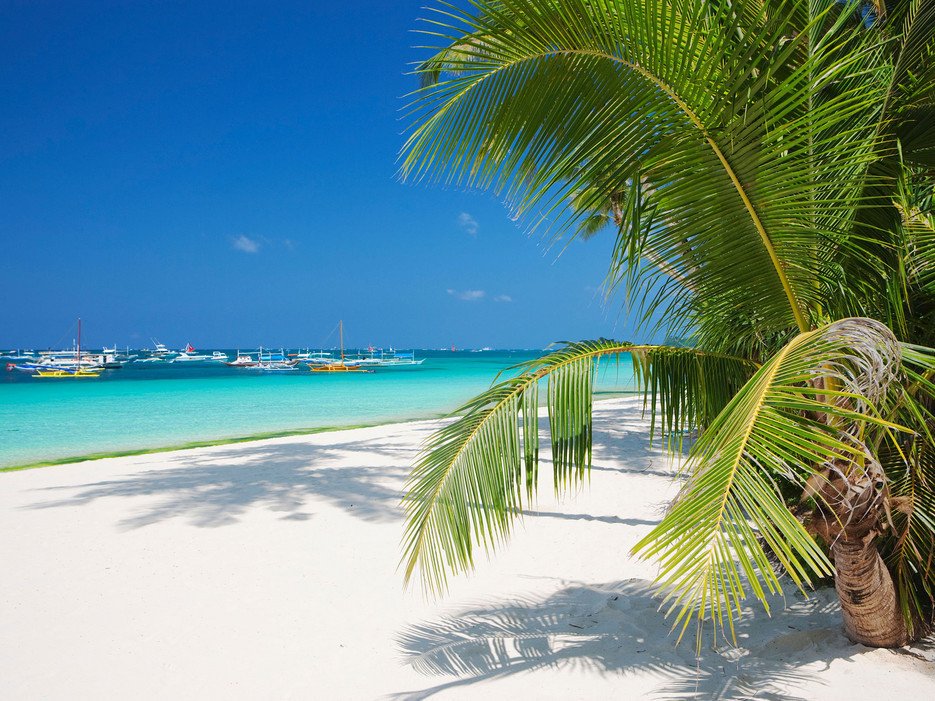 Αγαλματένια κορμιά, κοκτέιλ και χορός μέχρι τελικής πτώσης -Στις 10 καλύτερες πλαζ για beach party παγκοσμίως και μια ελληνική [εικόνες] | iefimerida.gr 1