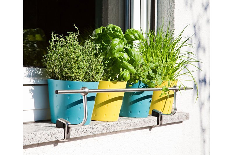 Κήπος στη βεράντα -Μια όαση ομορφιάς, τώρα την άνοιξη [εικόνες] | iefimerida.gr 1