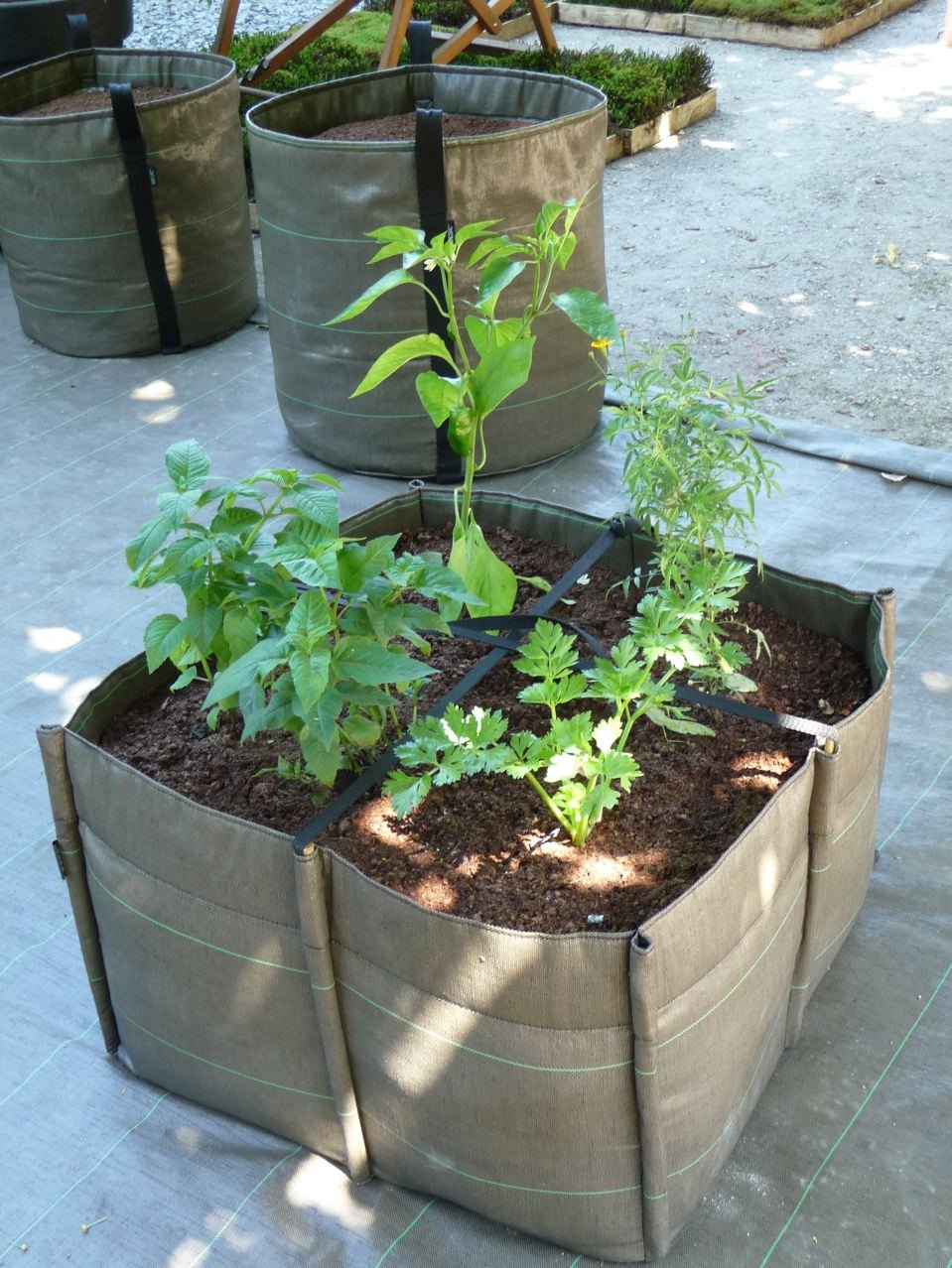 Κήπος στη βεράντα -Μια όαση ομορφιάς, τώρα την άνοιξη [εικόνες] | iefimerida.gr 6