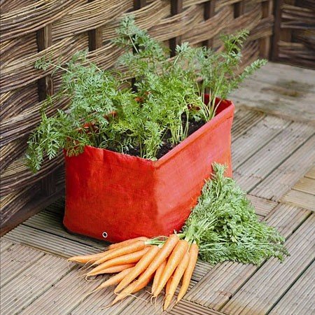 Κήπος στη βεράντα -Μια όαση ομορφιάς, τώρα την άνοιξη [εικόνες] | iefimerida.gr 8