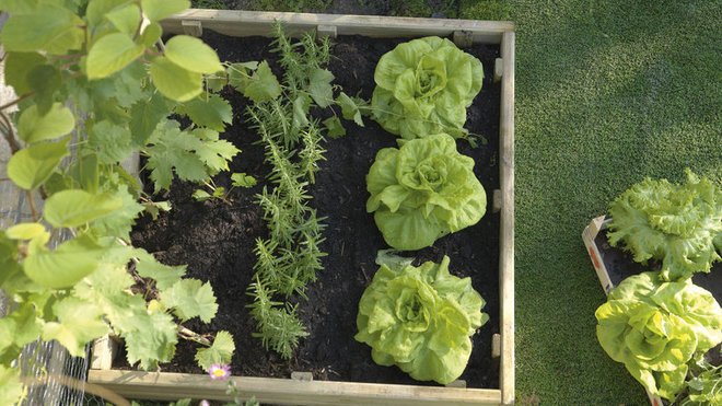 Κήπος στη βεράντα -Μια όαση ομορφιάς, τώρα την άνοιξη [εικόνες] | iefimerida.gr 10