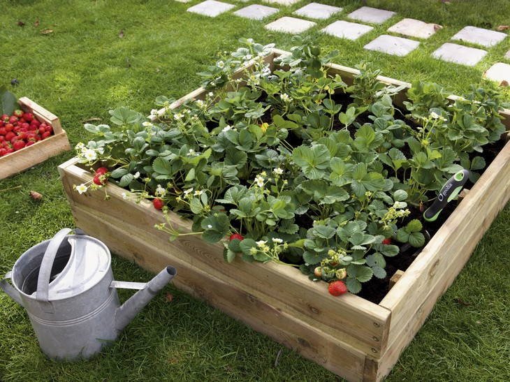 Κήπος στη βεράντα -Μια όαση ομορφιάς, τώρα την άνοιξη [εικόνες] | iefimerida.gr 11