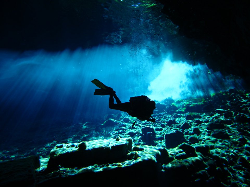 Η scubahellas.com στη boot 2015: Η πρώτη αμιγώς ελληνική συμμετοχή | iefimerida.gr 0