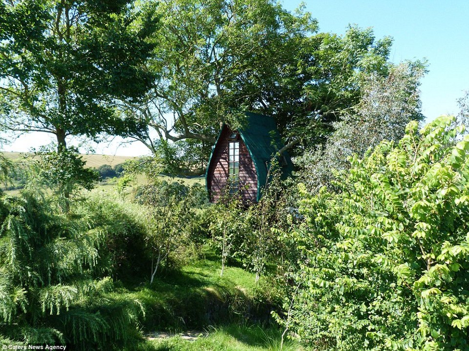 Δαιμόνιος μπαμπάς: Εφτιαξε δεντρόσπιτο για τα παιδιά του και το νοικιάζει για 100 λίρες τη βραδιά [εικόνες] | iefimerida.gr 3