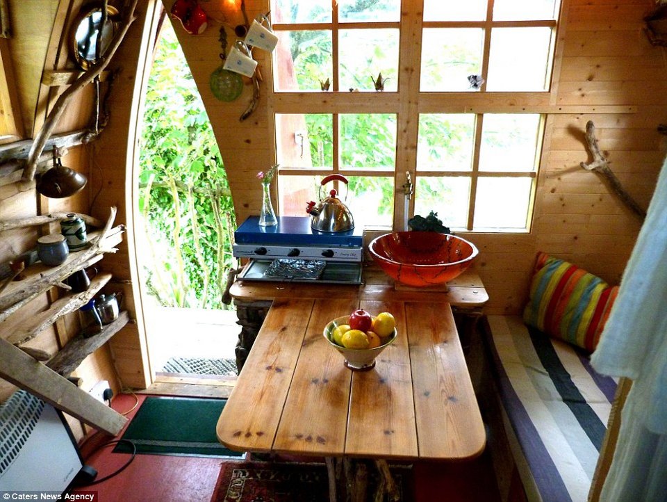 Δαιμόνιος μπαμπάς: Εφτιαξε δεντρόσπιτο για τα παιδιά του και το νοικιάζει για 100 λίρες τη βραδιά [εικόνες] | iefimerida.gr 1