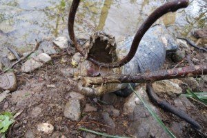 Νεκρός βρέθηκε ο Σήφης ο κροκόδειλος [εικόνες & βίντεο]  | iefimerida.gr 2