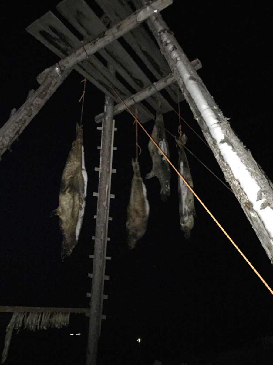 Ζώντας 24 ώρες στο σκοτάδι: Ταξίδι στο βορειότερο κατοικημένο σημείο του κόσμου [εικόνες] | iefimerida.gr 14