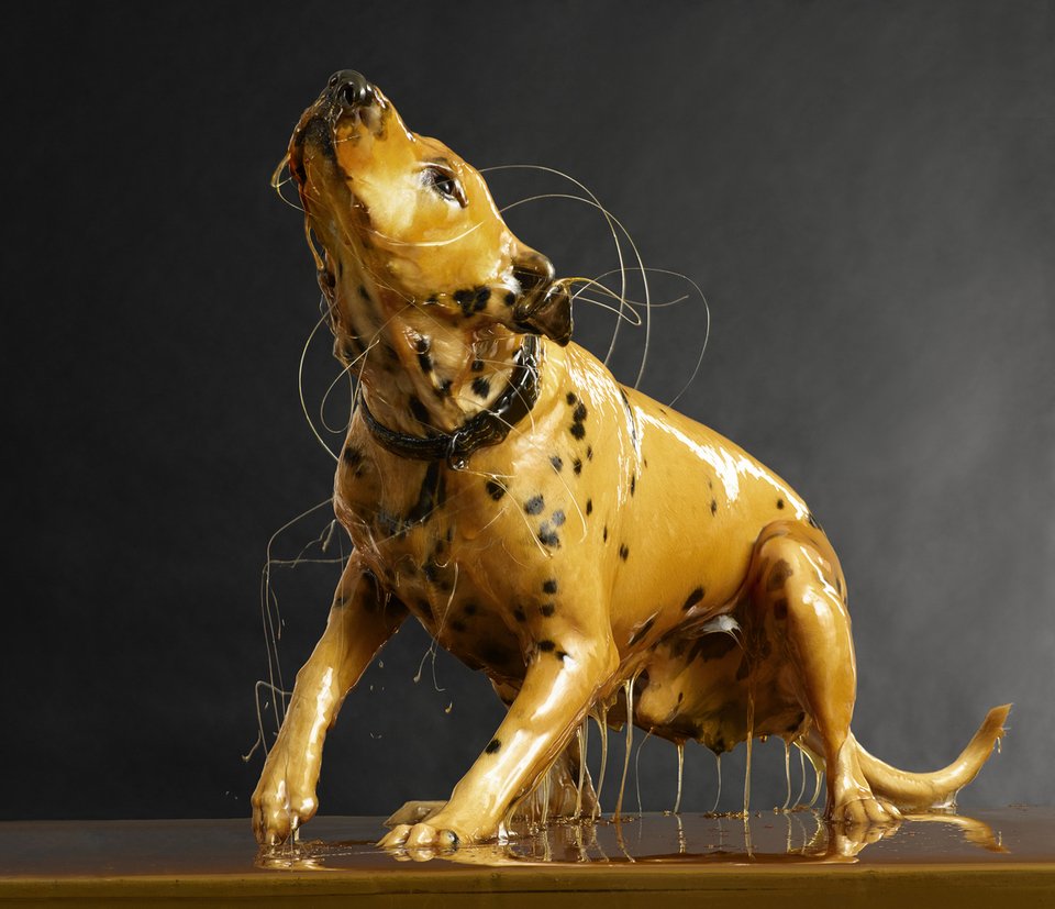 Απίστευτη φωτογράφιση: Γυμνοί βουτηγμένοι στο μέλι [εικόνες] | iefimerida.gr 6