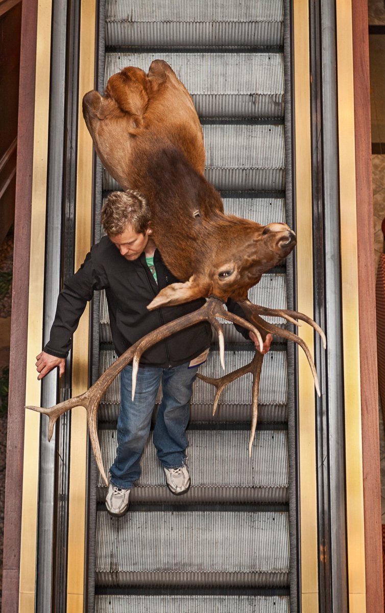 Τα πιο τρελά συνέδρια -Εκεί όπου μαζεύονται γοργόνες, πόνι, ταριχευτές και Αγιοι Βασίληδες [εικόνες] | iefimerida.gr 4