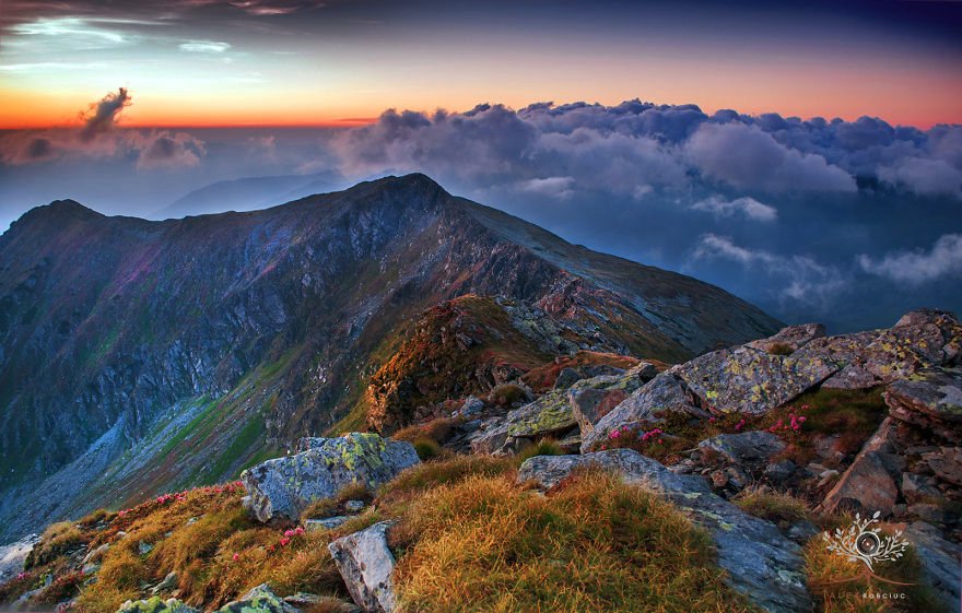 Διακοπές στη... χώρα του Κόμη Δράκουλα: Η απόκοσμα μαγευτική Τρανσυλβανία [εικόνες] | iefimerida.gr 0