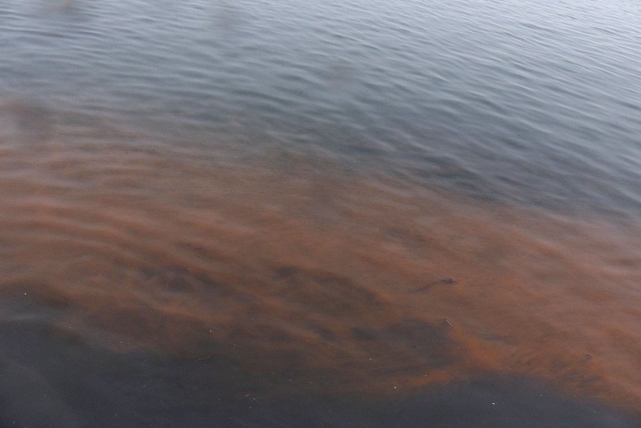 Εντονη δυσοσμία και κόκκινα νερά στη Θεσσαλονίκη [εικόνες] | iefimerida.gr 2