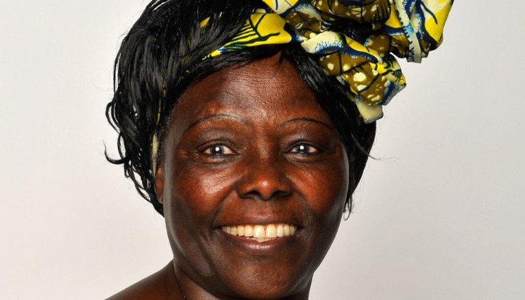 Οι επτά γυναίκες που άλλαξαν τον κόσμο -Βοήθησαν τις επόμενες γενιές [εικόνες] | iefimerida.gr 6