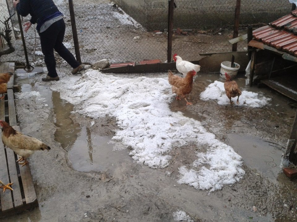 Συναγερμός στις Σέρρες -Κίνδυνος Κερκίνη και Στρυμόνας να «πνίξουν» τον νομό [εικόνες & βίντεο] | iefimerida.gr 3