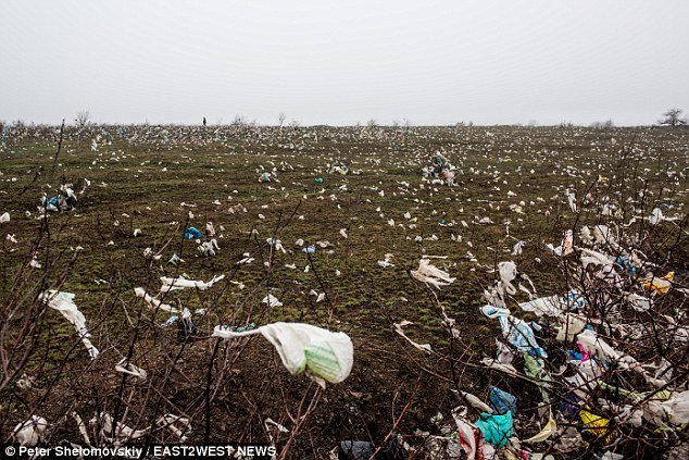 Πινακίδα-σοκ στο σημείο συντριβής του Boeing της Malaysia στην Ουκρανία -«Προσοχή, μπορεί να υπάρχουν ακόμη ανθρώπινα μέλη στον χώρο» [εικόνες] | iefimerida.gr 11