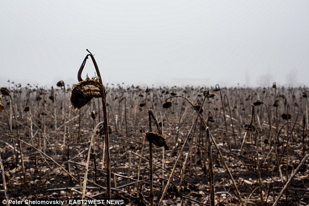 Πινακίδα-σοκ στο σημείο συντριβής του Boeing της Malaysia στην Ουκρανία -«Προσοχή, μπορεί να υπάρχουν ακόμη ανθρώπινα μέλη στον χώρο» [εικόνες] | iefimerida.gr 17