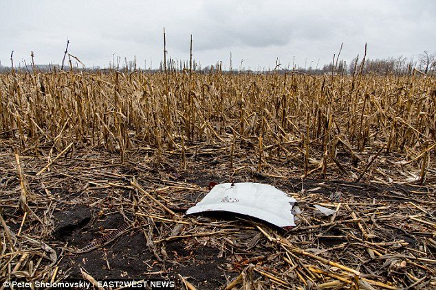 Πινακίδα-σοκ στο σημείο συντριβής του Boeing της Malaysia στην Ουκρανία -«Προσοχή, μπορεί να υπάρχουν ακόμη ανθρώπινα μέλη στον χώρο» [εικόνες] | iefimerida.gr 10