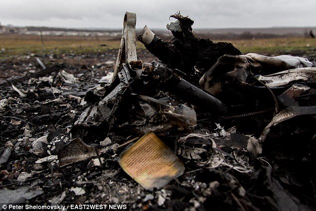 Πινακίδα-σοκ στο σημείο συντριβής του Boeing της Malaysia στην Ουκρανία -«Προσοχή, μπορεί να υπάρχουν ακόμη ανθρώπινα μέλη στον χώρο» [εικόνες] | iefimerida.gr 9