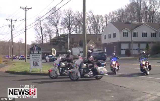 Mία συγκινητική στιγμή: «Αντίο» με στρατιωτικές τιμές σε αστυνομικό σκύλο πριν την ευθανασία [εικόνες] | iefimerida.gr 4