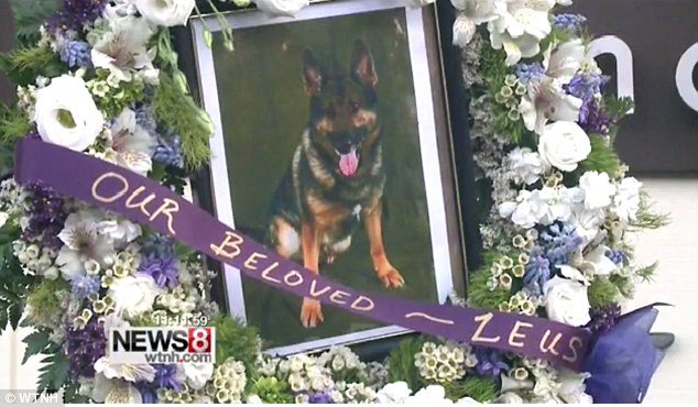 Mία συγκινητική στιγμή: «Αντίο» με στρατιωτικές τιμές σε αστυνομικό σκύλο πριν την ευθανασία [εικόνες] | iefimerida.gr 3