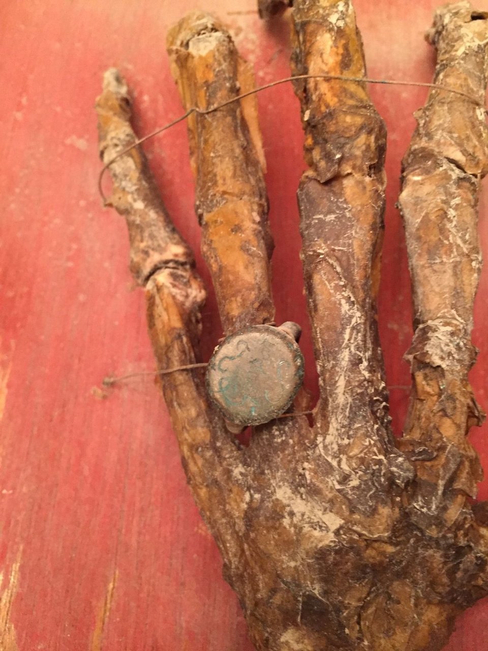 Βρήκαν θησαυρό πειρατών στο σπίτι τους – Νομίσματα, χάρτης και... κομμένο χέρι μέσα στο σεντούκι [εικόνες] | iefimerida.gr 3