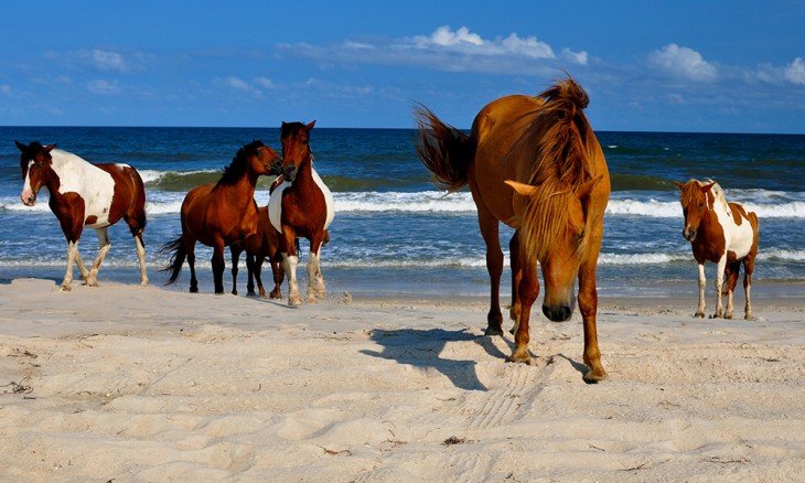 Δύο ελληνικές στις 20 ωραιότερες παραλίες: Εξωτική ομορφιά και κρυστάλλινα νερά [εικόνες] | iefimerida.gr 17