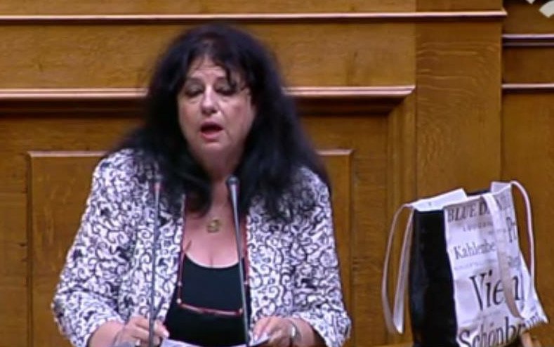 Eκτός εαυτού η Αννα Βαγενά στη Βουλή -Φωνάζει όρθια, την συγκρατούν για να μην επιτεθεί στον Λοβέρδο [εικόνες] | iefimerida.gr 6