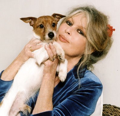 Δείτε τον απίστευτο παράδεισο που έφτιαξε η Μπριζίτ Μπαρντό για 4.000 ζώα [εικόνες] | iefimerida.gr 6