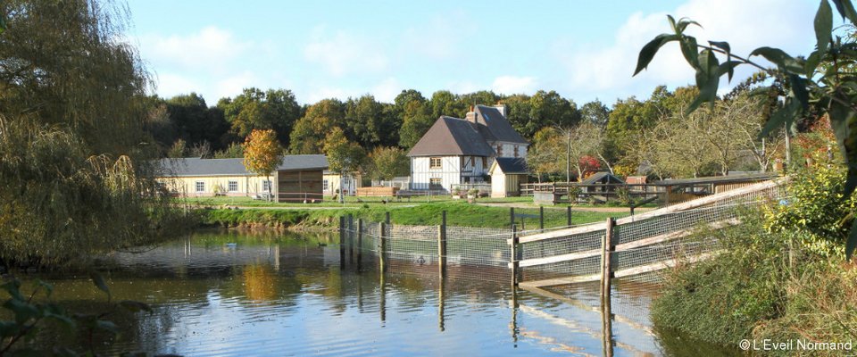 Δείτε τον απίστευτο παράδεισο που έφτιαξε η Μπριζίτ Μπαρντό για 4.000 ζώα [εικόνες] | iefimerida.gr 2