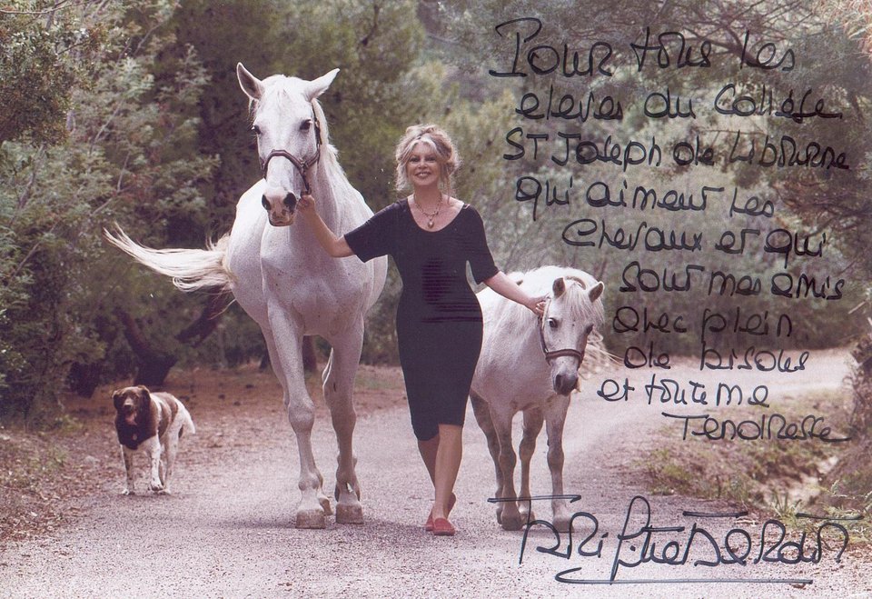 Δείτε τον απίστευτο παράδεισο που έφτιαξε η Μπριζίτ Μπαρντό για 4.000 ζώα [εικόνες] | iefimerida.gr 4