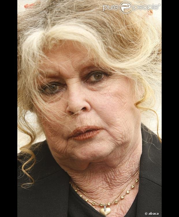 Δείτε τον απίστευτο παράδεισο που έφτιαξε η Μπριζίτ Μπαρντό για 4.000 ζώα [εικόνες] | iefimerida.gr 9