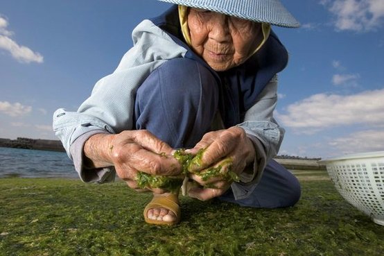 National Geographic: Τι τρώνε στην Ικαρία και ζουν τόσο πολύ [εικόνες] | iefimerida.gr 4