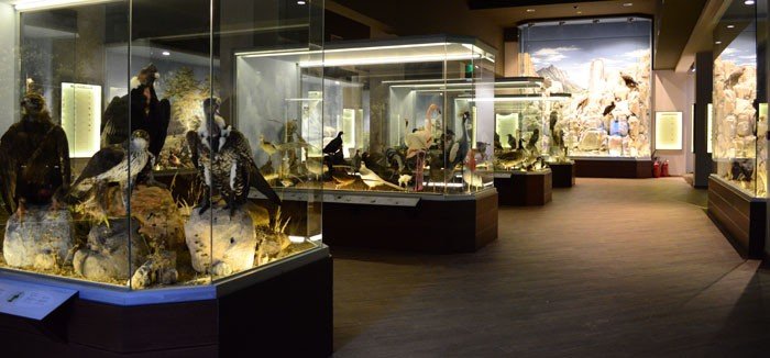 Ενα μουσείο αλλιώτικο από τα άλλα στα Μετέωρα [εικόνες & βίντεο] | iefimerida.gr 1