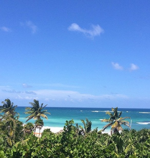 Δωροθέα Μερκούρη: Ηλιοθεραπεία με σέξι μαγιό κάτω από τον καυτό ήλιο στο Μεξικό [εικόνες]  | iefimerida.gr 1