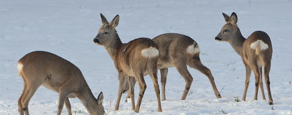 Ενα μουσείο αλλιώτικο από τα άλλα στα Μετέωρα [εικόνες & βίντεο] | iefimerida.gr 2