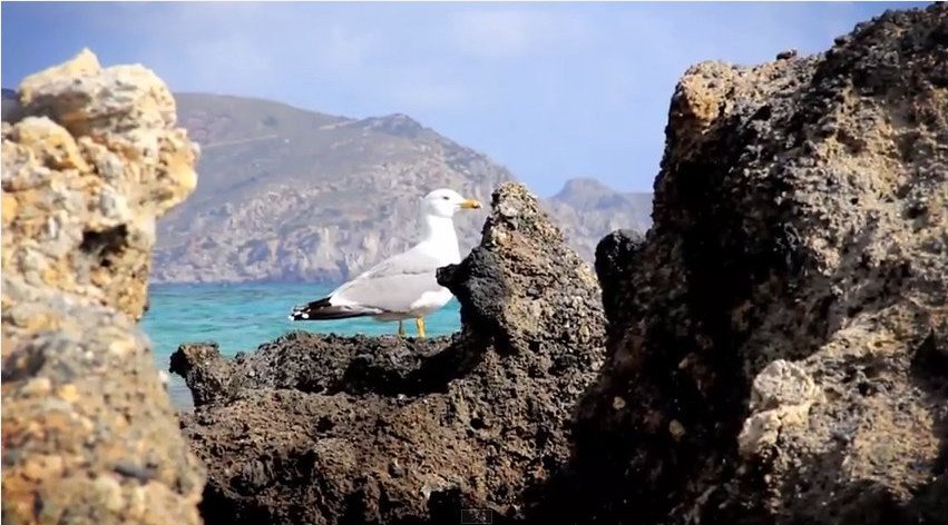 Το μαγευτικό Ελαφονήσι της Κρήτης σε μια άλλη εποχή: Οταν δεν είναι γεμάτο ξαπλώστρες, πετσέτες και ρακέτες [εικόνες & βίντεο] | iefimerida.gr 1