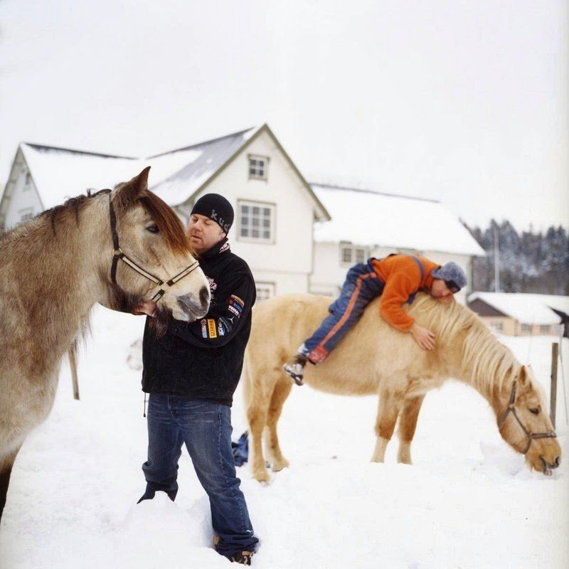Ηλιοθεραπεία, τένις και σάουνα -Η πιο ωραία φυλακή του κόσμου βρίσκεται στη Νορβηγία [εικόνες]  | iefimerida.gr 4