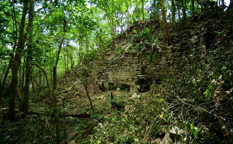 Ενας αληθινός Ιντιάνα Τζόουνς -Με όπλο ένα μαχαίρι, ανακαλύπτει στη ζούγκλα χαμένες αρχαίες πόλεις [εικόνες] | iefimerida.gr 1