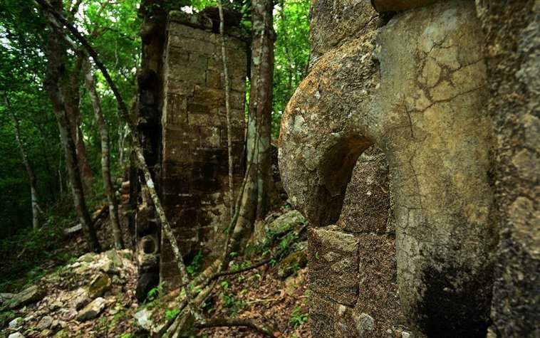 Ενας αληθινός Ιντιάνα Τζόουνς -Με όπλο ένα μαχαίρι, ανακαλύπτει στη ζούγκλα χαμένες αρχαίες πόλεις [εικόνες] | iefimerida.gr 2