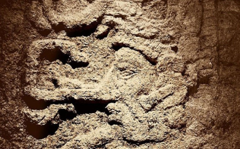 Ενας αληθινός Ιντιάνα Τζόουνς -Με όπλο ένα μαχαίρι, ανακαλύπτει στη ζούγκλα χαμένες αρχαίες πόλεις [εικόνες] | iefimerida.gr 5